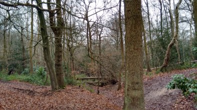 IMG_20160121_091438606_HDR