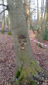 IMG_20160204_151632843