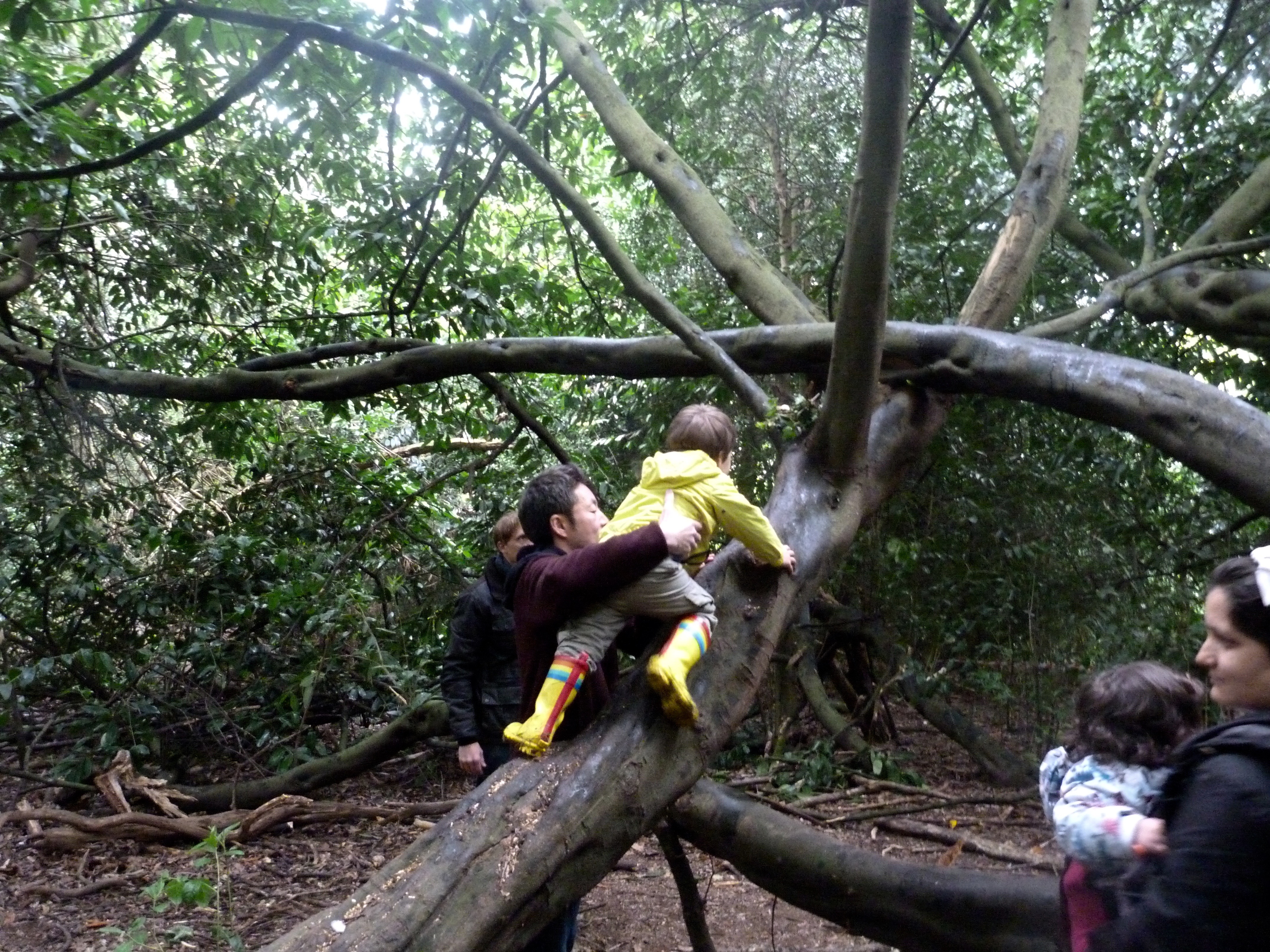 Forest School | Gentle Healing